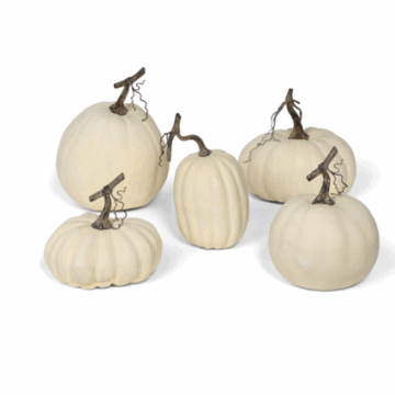 Full Moon Pumpkin Set, Set of 5