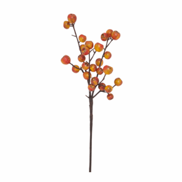Eucalyptus Berries Branch