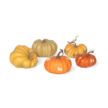 Kentucky Field Pumpkins