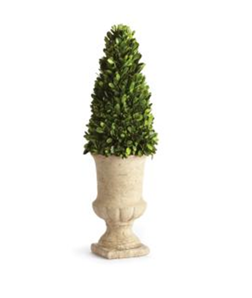 Preserved Boxwood 24" Cone Topiary in Urn