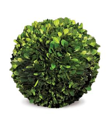 Preserved Boxwood 8" Ball